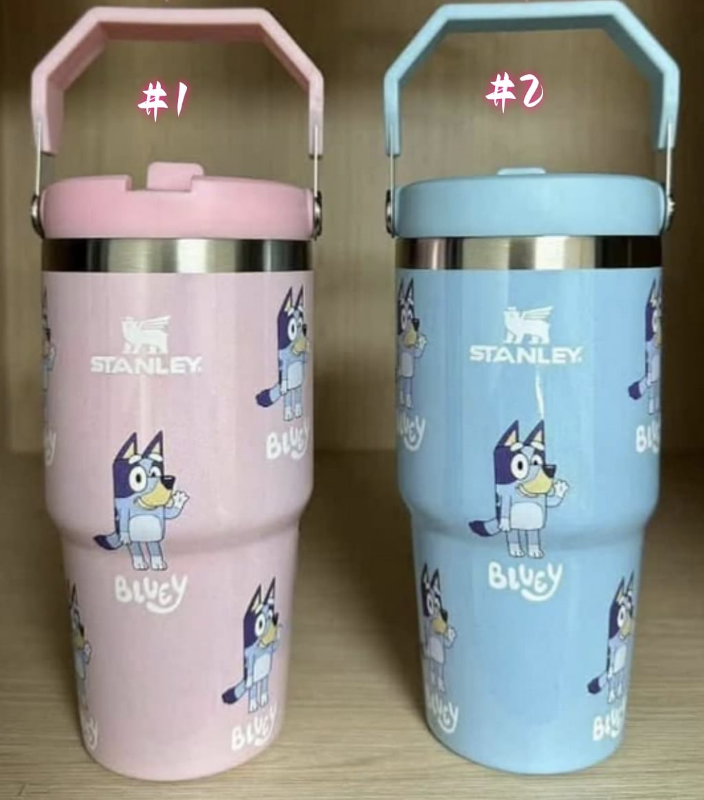 20oz Bluey Stanley
